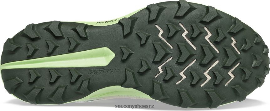 Saucony Peregrine 13 GTX TX0L64112 Dust/Umbra