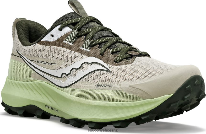 Saucony Peregrine 13 GTX TX0L64112 Dust/Umbra