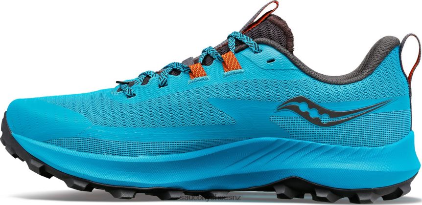 Saucony Peregrine 13 TX0L6444 Agave/Basalt