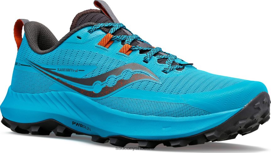 Saucony Peregrine 13 TX0L6444 Agave/Basalt