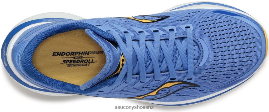 Saucony Endorphin Speed 3 TX0L64517 Horizon/Gold