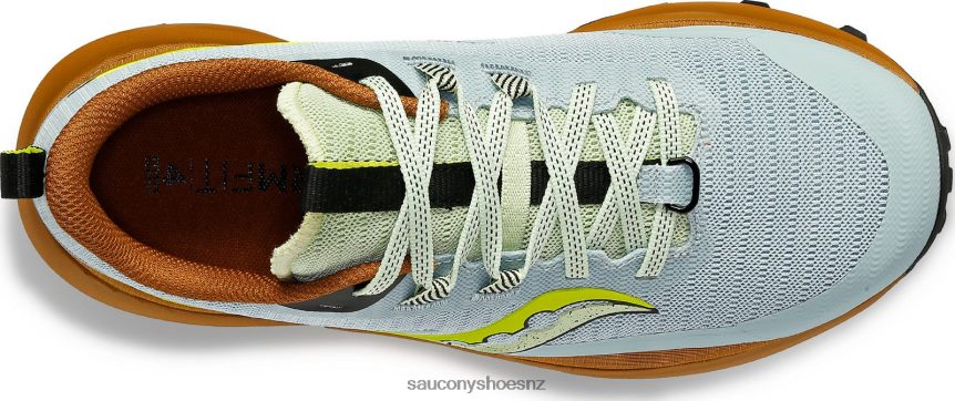 Saucony Peregrine 13 TX0L64542 Glacier/Bronze